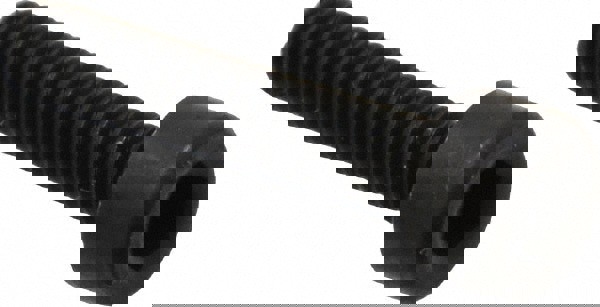 Hex Socket Cap Screw: M2.5 x 0.45 Metric